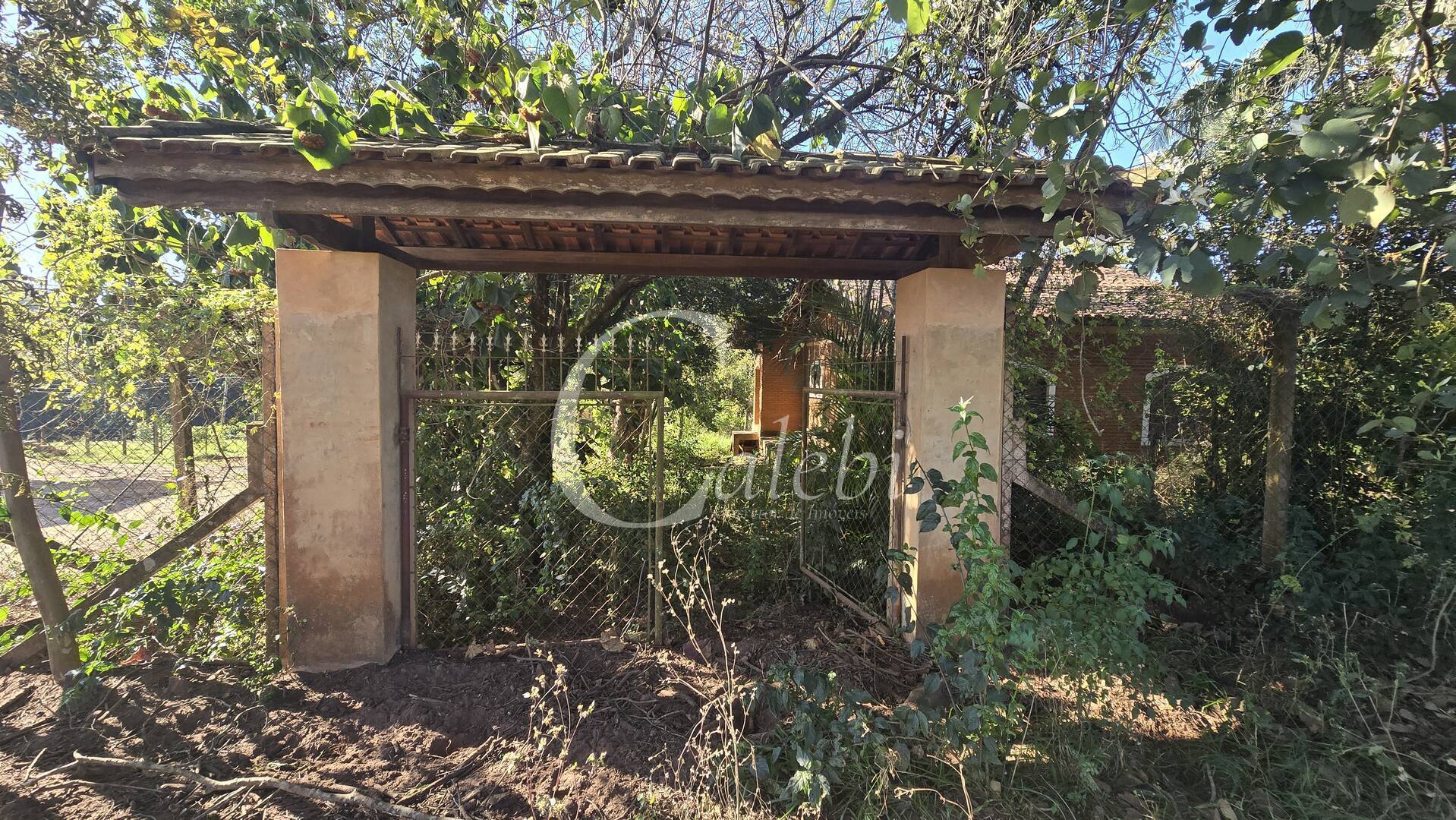 Sítio, 2 quartos, 6000 m² - Foto 23