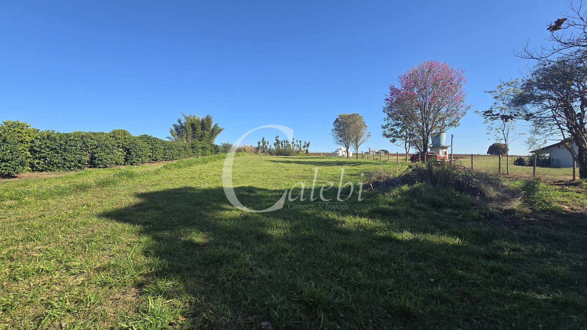 Sítio, 2 quartos, 6000 m² - Foto 26