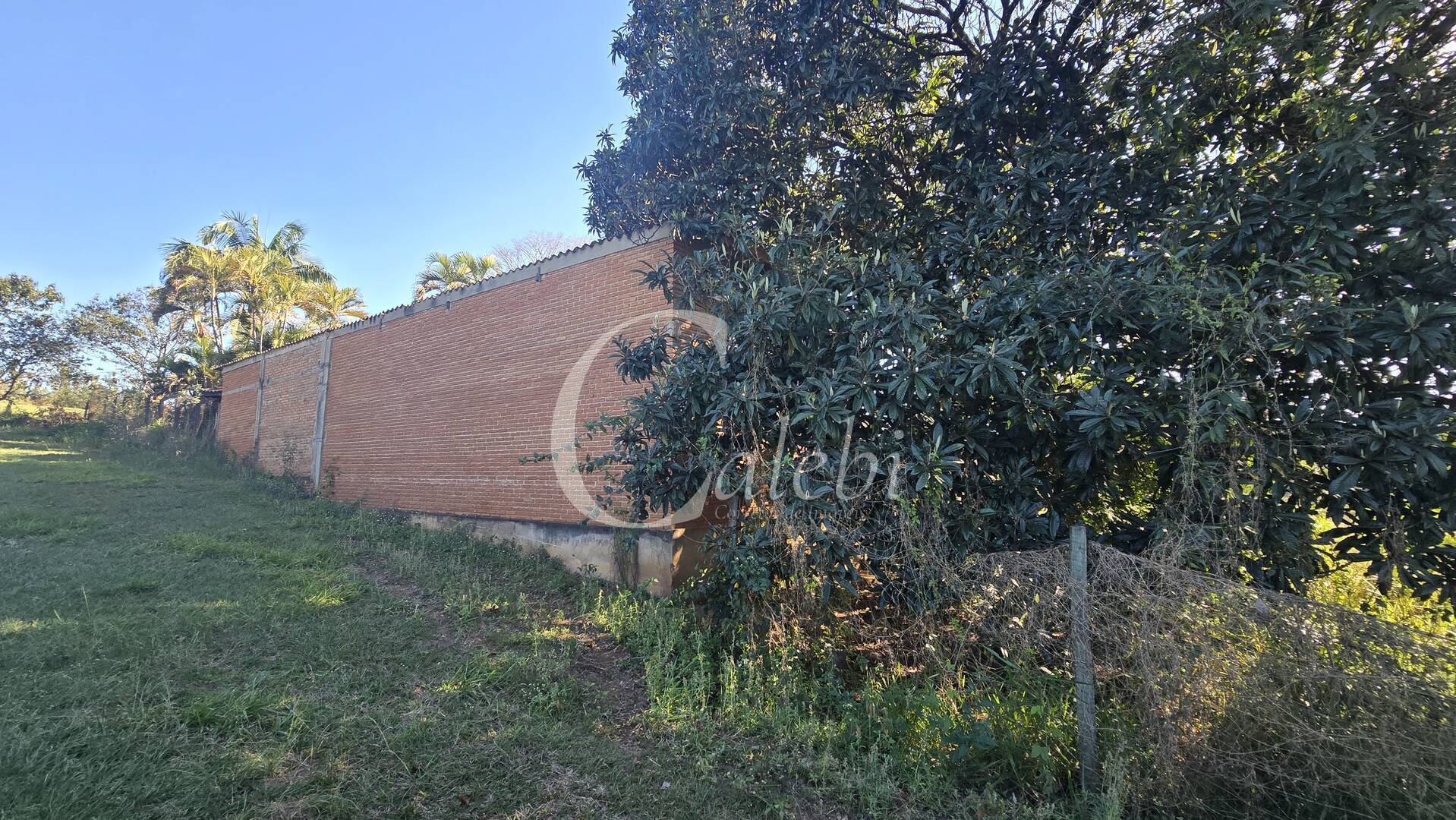 Sítio, 2 quartos, 6000 m² - Foto 29