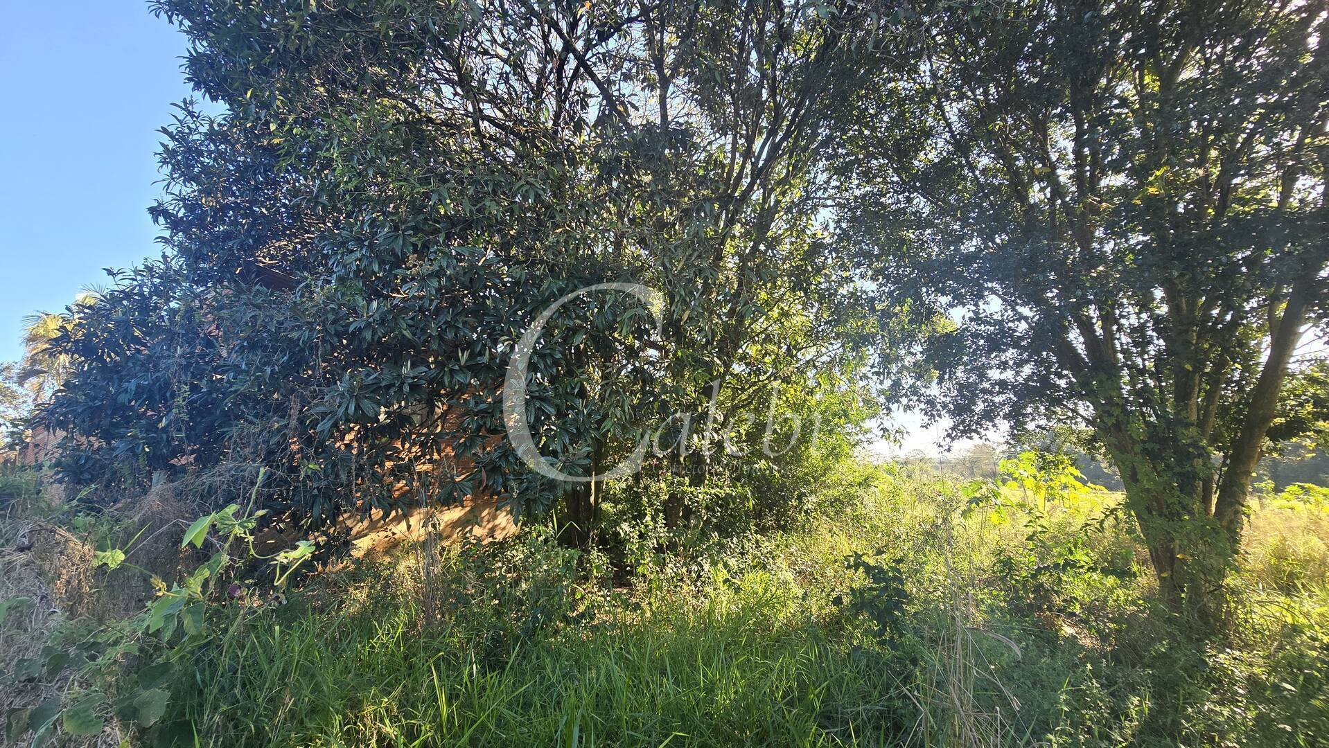 Sítio, 2 quartos, 6000 m² - Foto 31