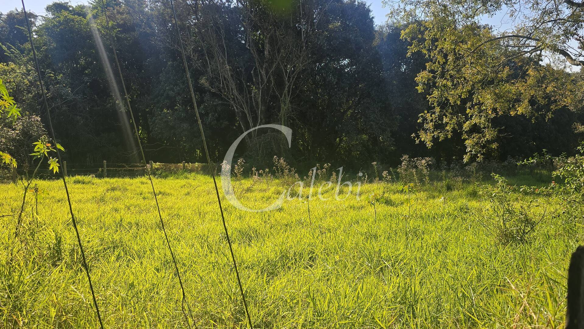 Sítio, 2 quartos, 6000 m² - Foto 32