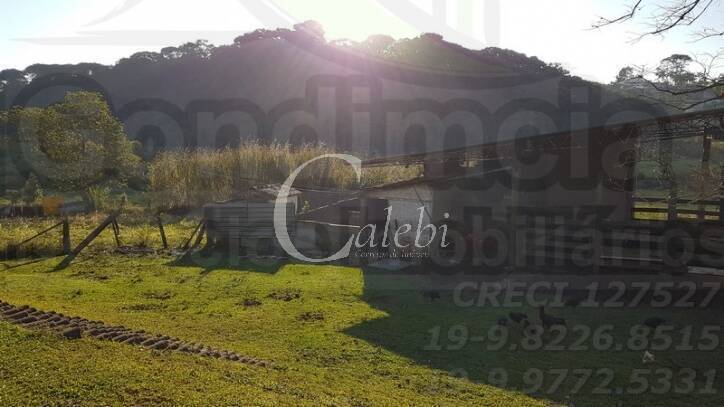 Sítio à venda com 2 quartos, 500m² - Foto 9