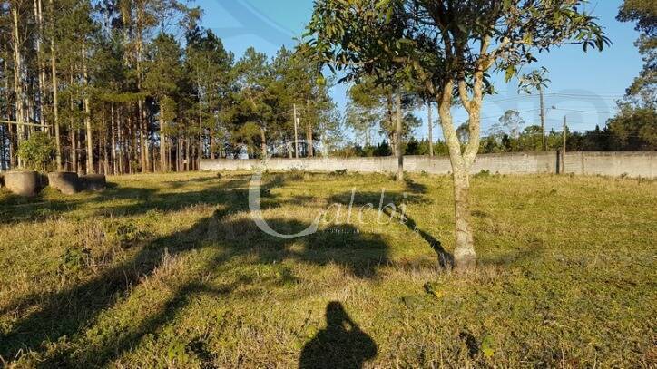 Sítio à venda com 2 quartos, 500m² - Foto 18