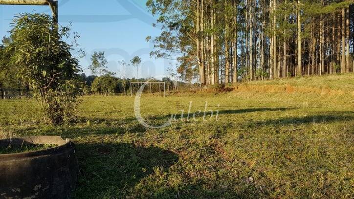Sítio à venda com 2 quartos, 500m² - Foto 19