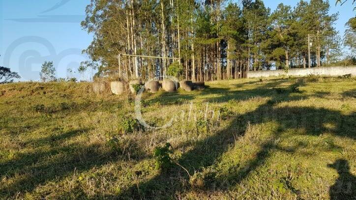 Sítio à venda com 2 quartos, 500m² - Foto 20
