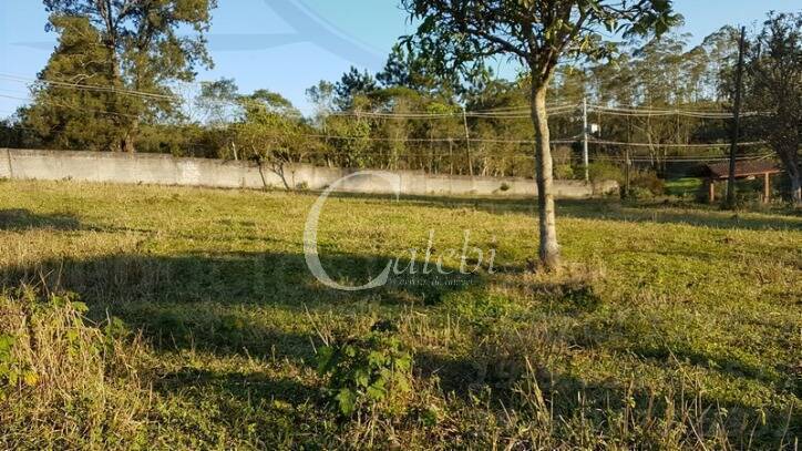 Sítio à venda com 2 quartos, 500m² - Foto 21